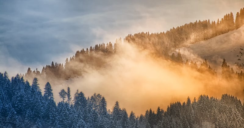 CAP cuisine en alternance en région Auvergne-Rhône-Alpes : toutes nos formations